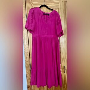 NWT Loft Pink Maxi Dress